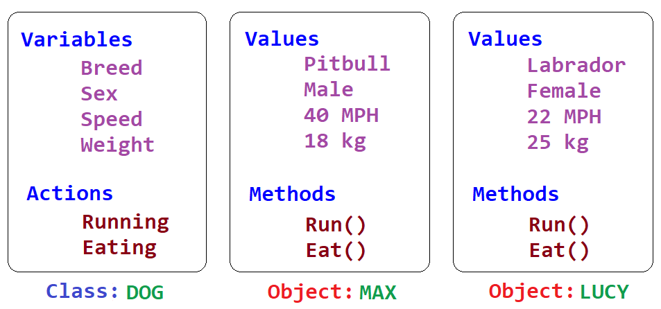 C++ class and object example