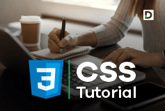 Learn CSS with Examples